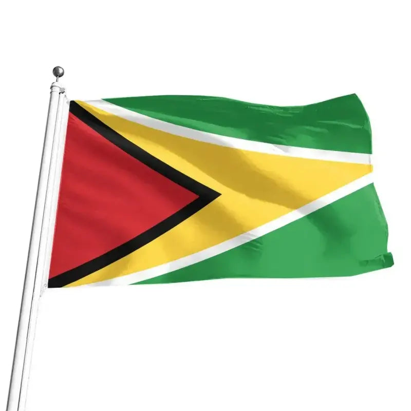 Guyana Flag RLT8 - Wonder Print Shop