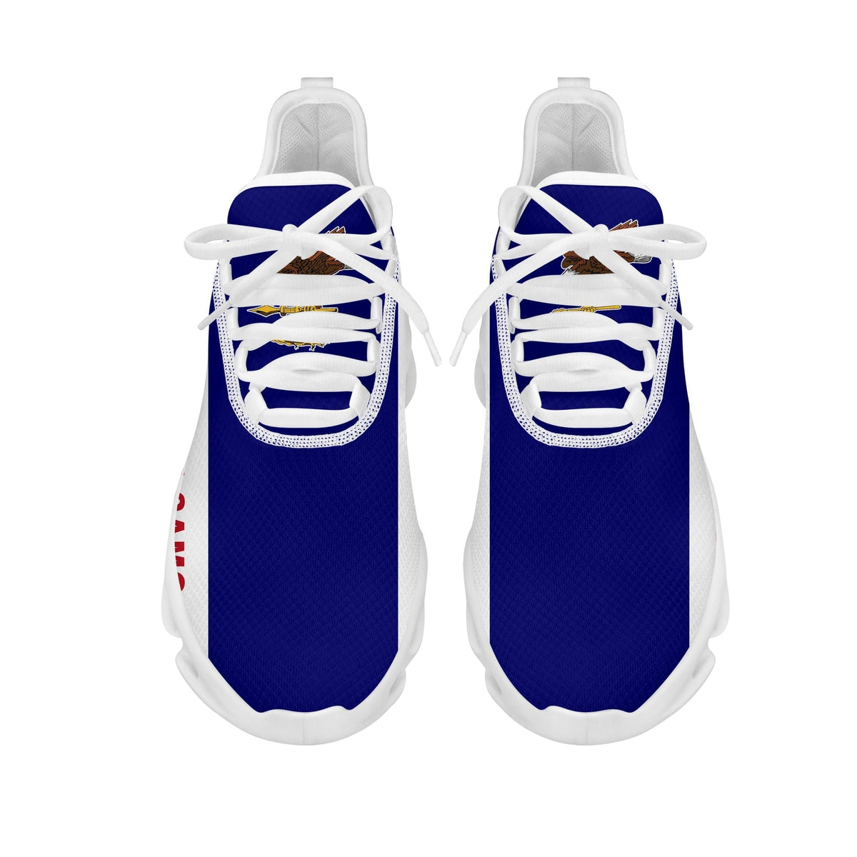 polynesian-footwear-american-samoa-flag-sport-clunky-sneakers