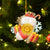 argentina-custom-shape-ornament-merry-christmas-and-happy-new-year