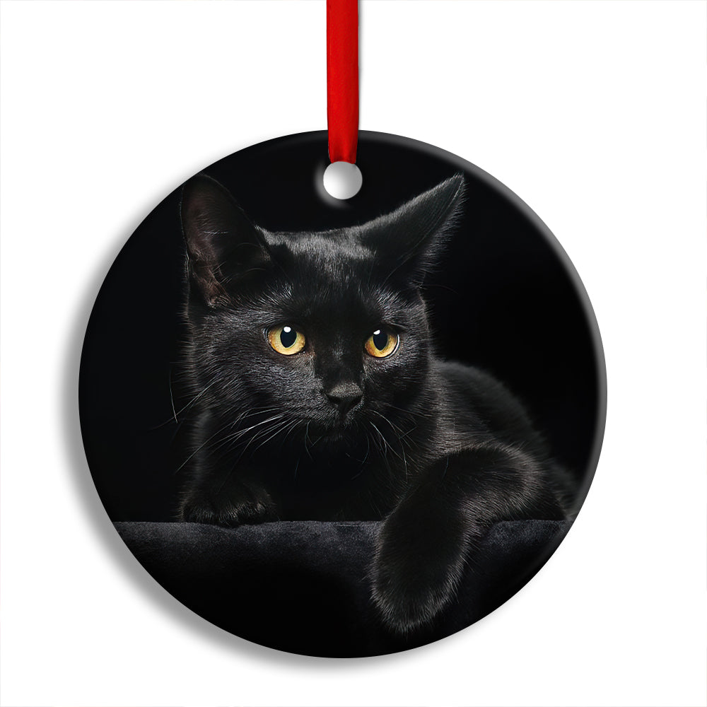 black-cat-kitty-lover-circle-ornament