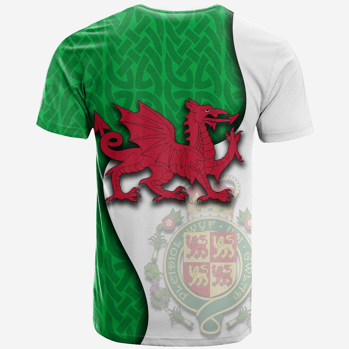 Wales Dragon 2021 T Shirt LT20 - Wonder Print Shop
