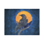 Viking Tapestry - Crow Of Viking RLT12 - Wonder Print Shop