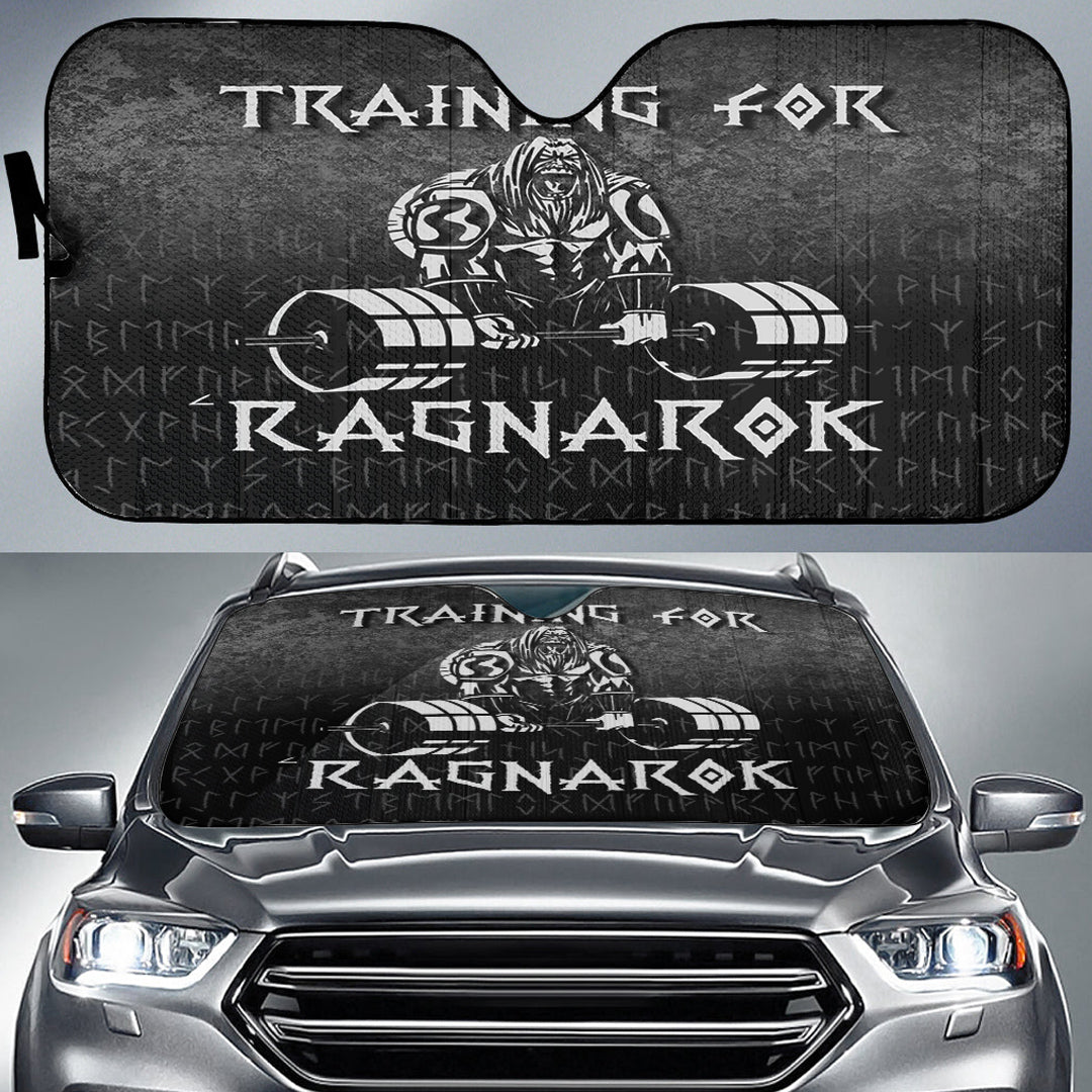 viking-auto-sun-shades-training-for-ragnarok-auto-sun-shades