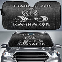 viking-auto-sun-shades-training-for-ragnarok-auto-sun-shades