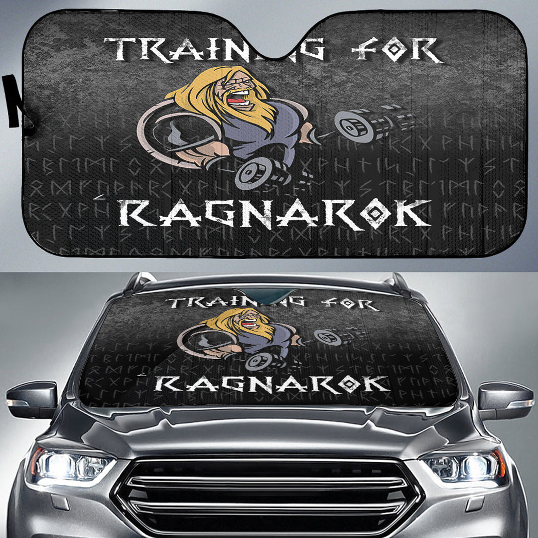 viking-auto-sun-shades-training-for-ragnarok-auto-sun-shades