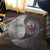 viking-carpet-the-nasal-figure-of-the-ship-drakkar-in-the-form-of-dragon-round-carpet
