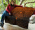 Viking Premium Quilt, Skoll and Hati Orange RLT12 - Wonder Print Shop