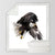 flying-eagle-watercolor-soft-throw-blanket